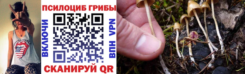 ОМГ ОМГ как зайти  Болхов  Галлюциногенные грибы прущие грибы 